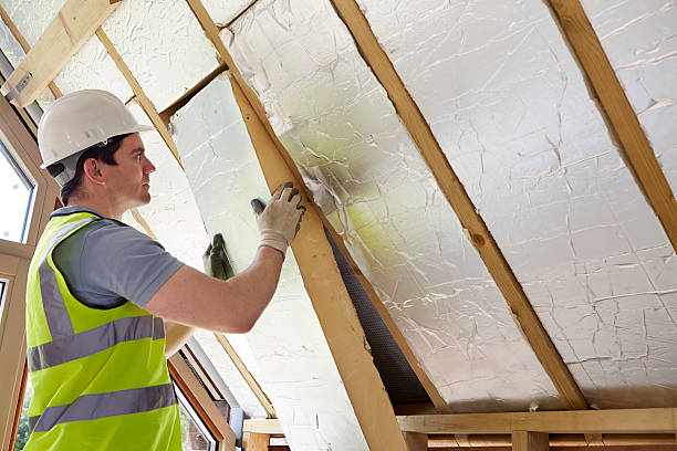 Best Insulation Installation Services in Swansboro, NC